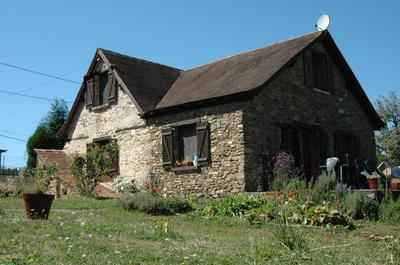 For Sale Renovated Stone Cottage W Blueberry Orchard